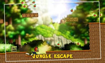 Bandicoot Adventure Jungle World截图1