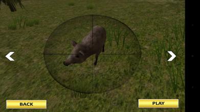 Jungle Sniper Hunting 3d截图4