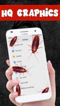 Cockroach on Phone Prank - Scary Joke截图3
