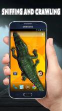 Crocodile in Phone Scary Joke截图3