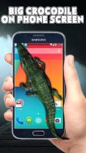 Crocodile in Phone Scary Joke截图4