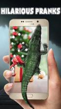 Crocodile in Phone Scary Joke截图1