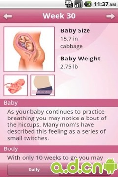 爱孕宝宝怀孕助手截图