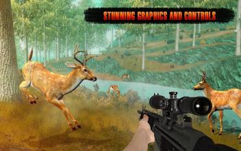 Deer Hunt Sniper Shooting Safari Animals Hunter截图3