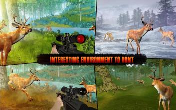 Deer Hunt Sniper Shooting Safari Animals Hunter截图1