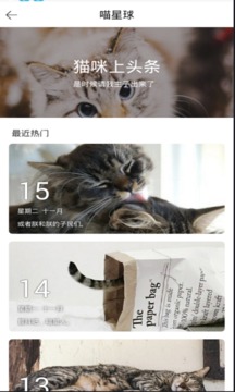 猫猫截图