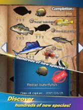 Wild Fishing:Happy Catch截图2