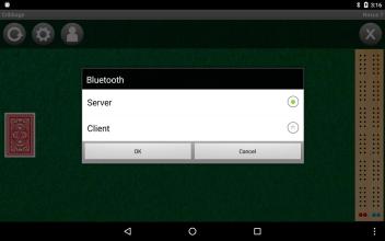 Cribbage截图3