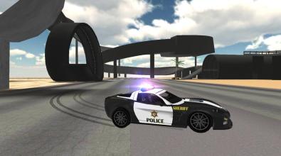 Police Car Driving Sim截图2