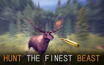 Free Fun Deer Hunting Time截图4