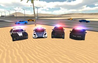 Police Car Driving Sim截图5