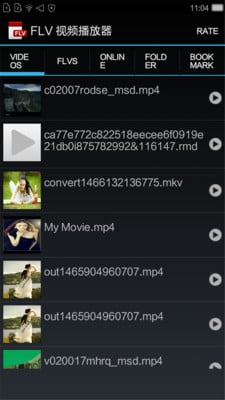 FLV 视频播放器截图4