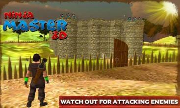 Ninja Master 3D截图5