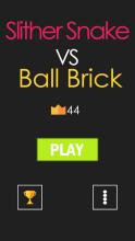 Slither Snake VS Ball Brick截图1