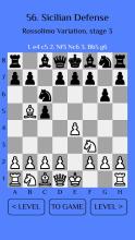 Chess Match: Sicilian defense截图2