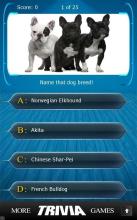 Name that Dog Breed Trivia截图5