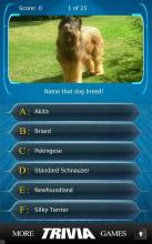 Name that Dog Breed Trivia截图3