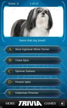 Name that Dog Breed Trivia截图1