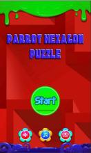 Parrot Hexagon Puzzle截图1