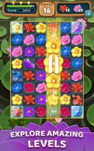 Lotus Blossom Match截图3