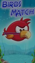 Birds Match Mania截图1