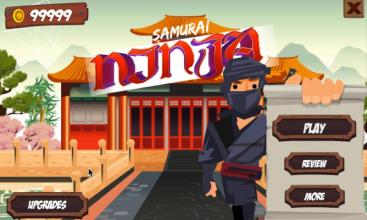 Samurai Ninja截图1