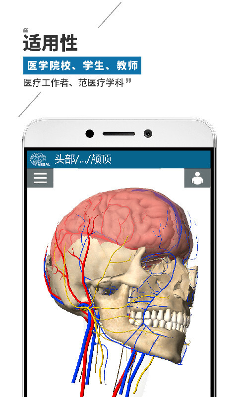 3D高清人体解剖图截图4