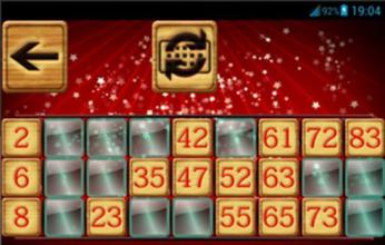 Bingo Christmas截图2