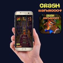 Guide Crash Bandicoot 2018截图1