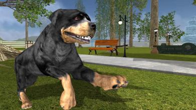 Rottweiler Dog Life Simulator截图5