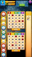 Real Bingo - Winter Wonderland截图1