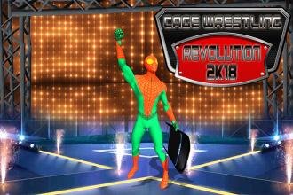 Cage Wrestling Revolution 2k18截图2