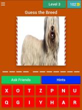 Guess the Dog截图3