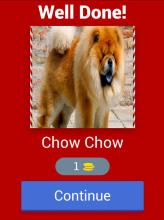 Guess the Dog截图5