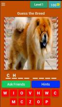 Guess the Dog截图1