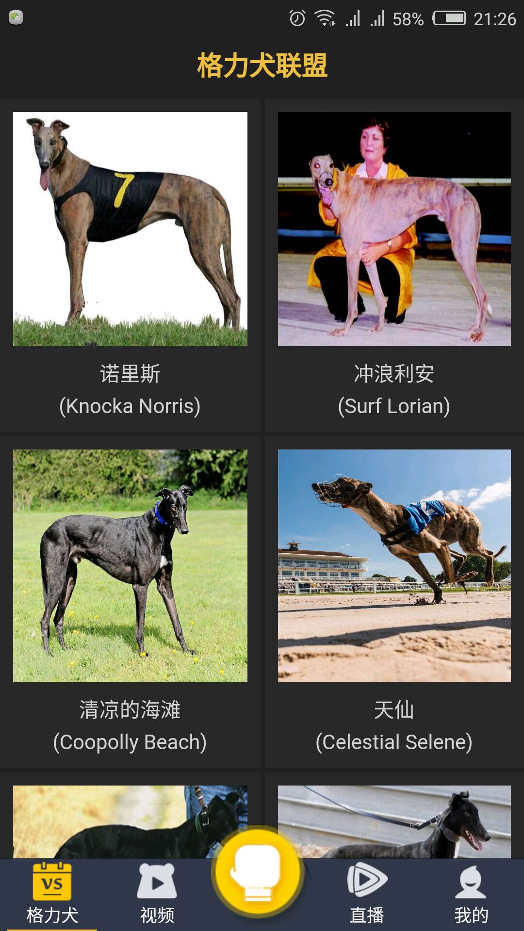 格力犬联盟截图1