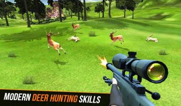 Hunt Jungle Animals截图2