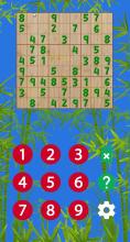 Super Sudoku Pro截图2