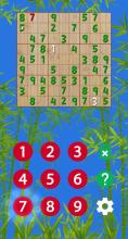 Super Sudoku Pro截图3