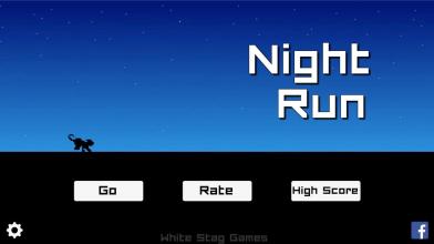 Night Run截图1