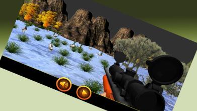 3D Sniper Duck Hunt截图1