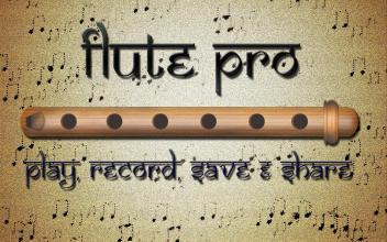 Flute Pro截图1
