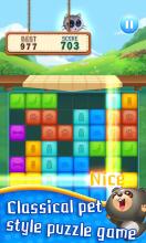 Pet Block Puzzle截图2