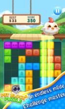 Pet Block Puzzle截图3