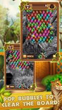 Bubble Shooter Quest - Animal Safari Adventure截图5