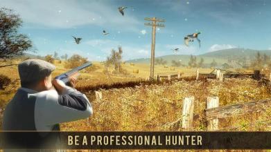 Wild Bird Sniper Hunting截图2