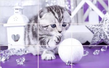 kittens Puzzle截图2