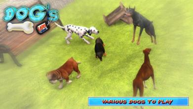 DOGS LIFE : Free Dog Games截图5