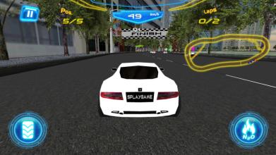 Speed King Racer截图1