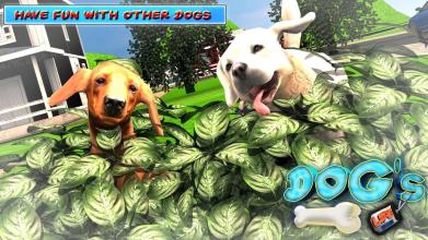 DOGS LIFE : Free Dog Games截图3